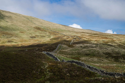 Walk photo