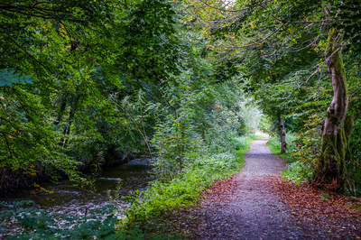 Walk photo