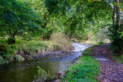 Walk photo