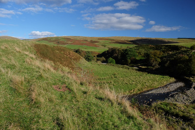 Walk photo