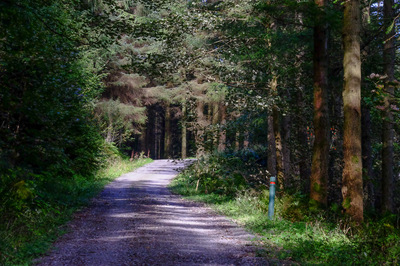 Walk photo