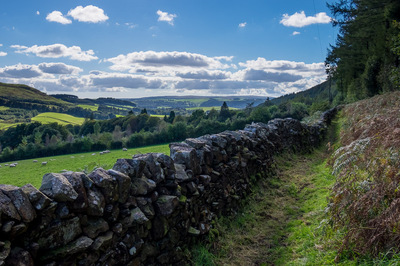 Walk photo