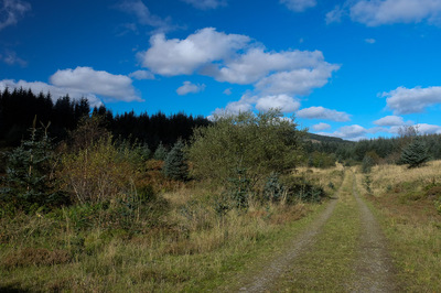 Walk photo