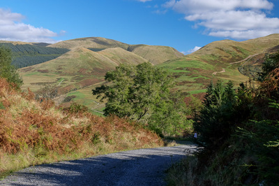 Walk photo