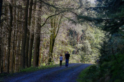 Walk photo
