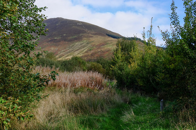 Walk photo