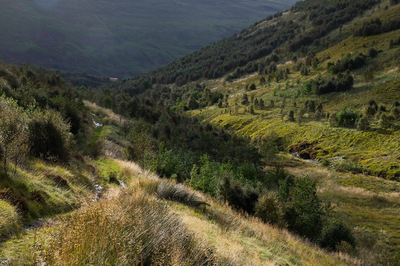 Walk photo