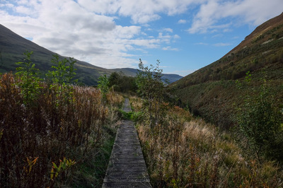 Walk photo