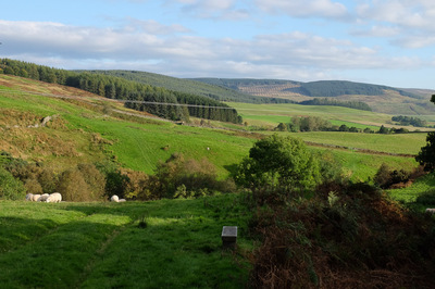 Walk photo