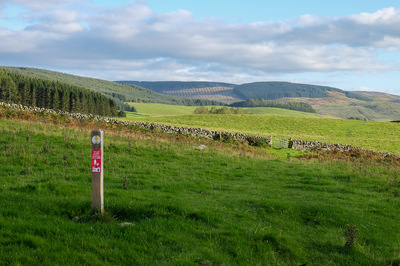 Walk photo