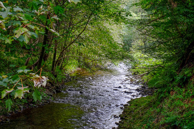 Walk photo