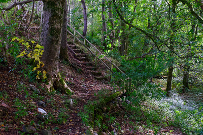 Walk photo