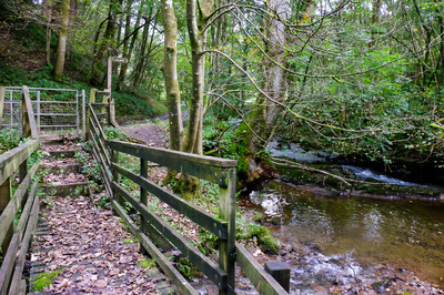 Walk photo