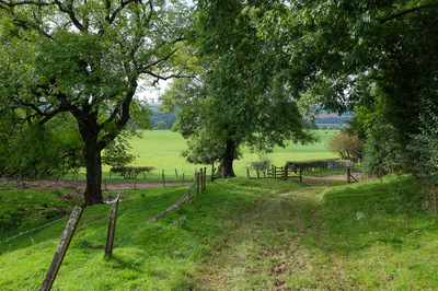 Walk photo
