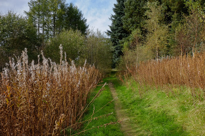 Walk photo