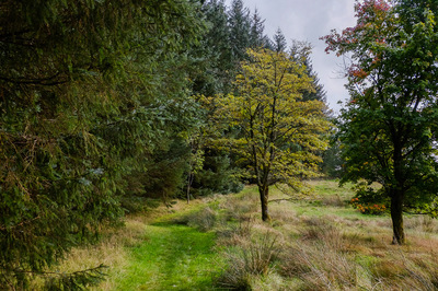 Walk photo