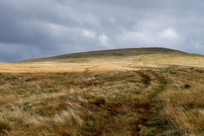 Walk photo