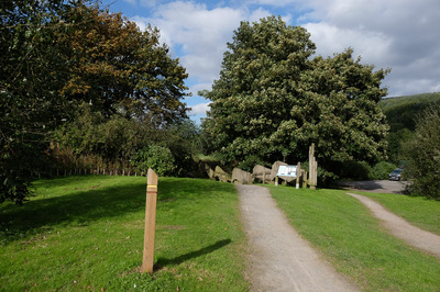 Walk photo