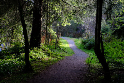 Walk photo