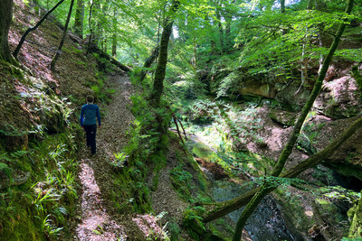Walk photo