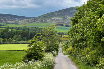 Walk photo
