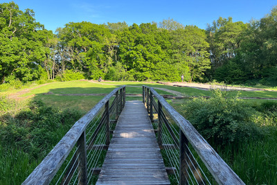 Walk photo