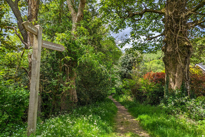 Walk photo