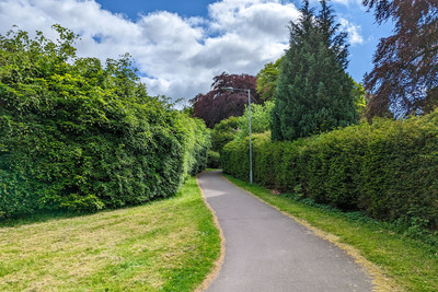 Walk photo