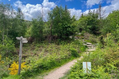 Walk photo