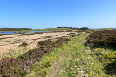 Walk photo
