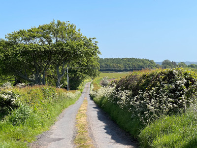 Walk photo