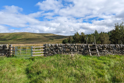 Walk photo