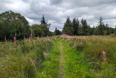 Walk photo