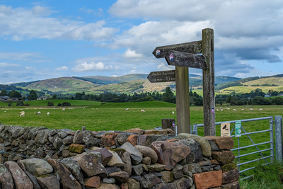 Walk photo
