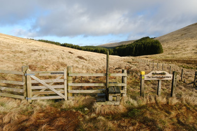 Walk photo