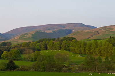 Walk photo