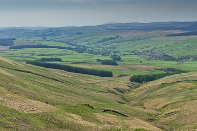 Walk photo