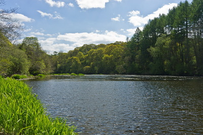 Walk photo