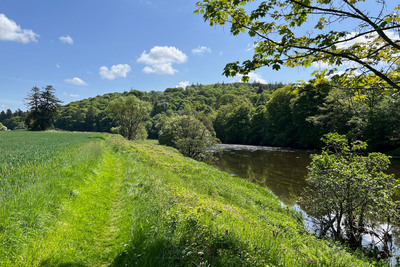 Walk photo
