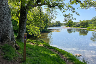 Walk photo