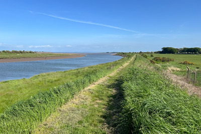 Walk photo