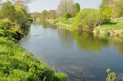 Walk photo