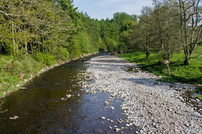 Walk photo