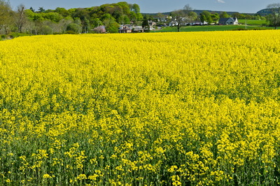 Walk photo