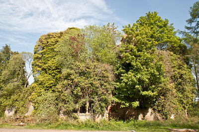 Walk photo