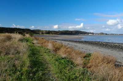 Walk photo