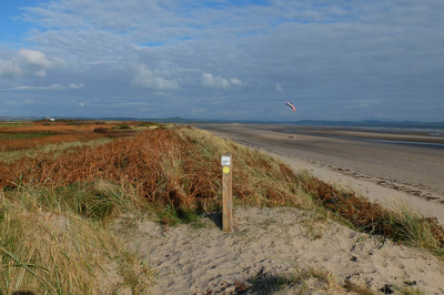 Walk photo