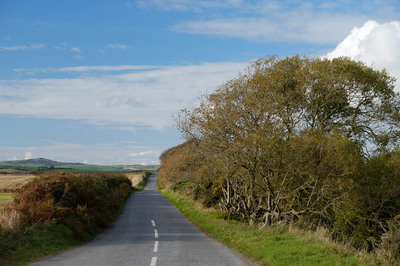 Walk photo