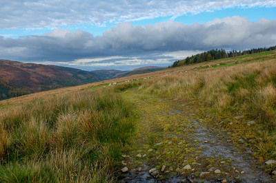 Walk photo