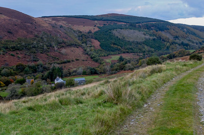 Walk photo